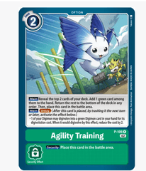 Agility Training